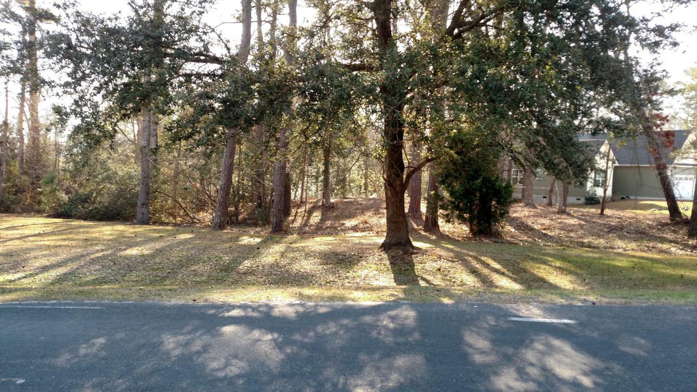 Property Photo:  254 Derby Downs Drive  NC 28460 