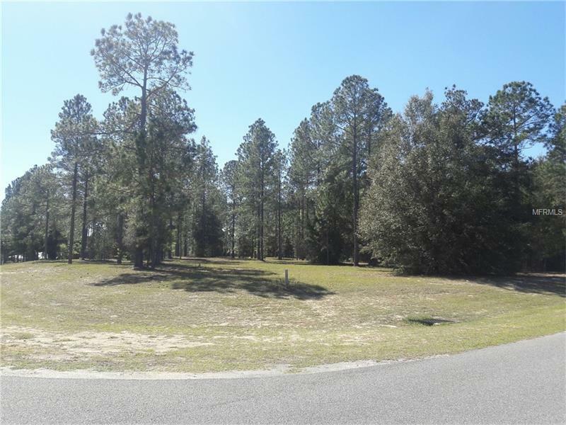 Property Photo:  35702 High Pines Drive  FL 32736 