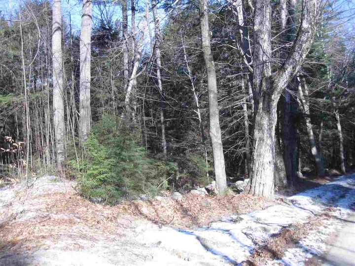 Property Photo:  0 Evergreen Hill Road  NH 03449 
