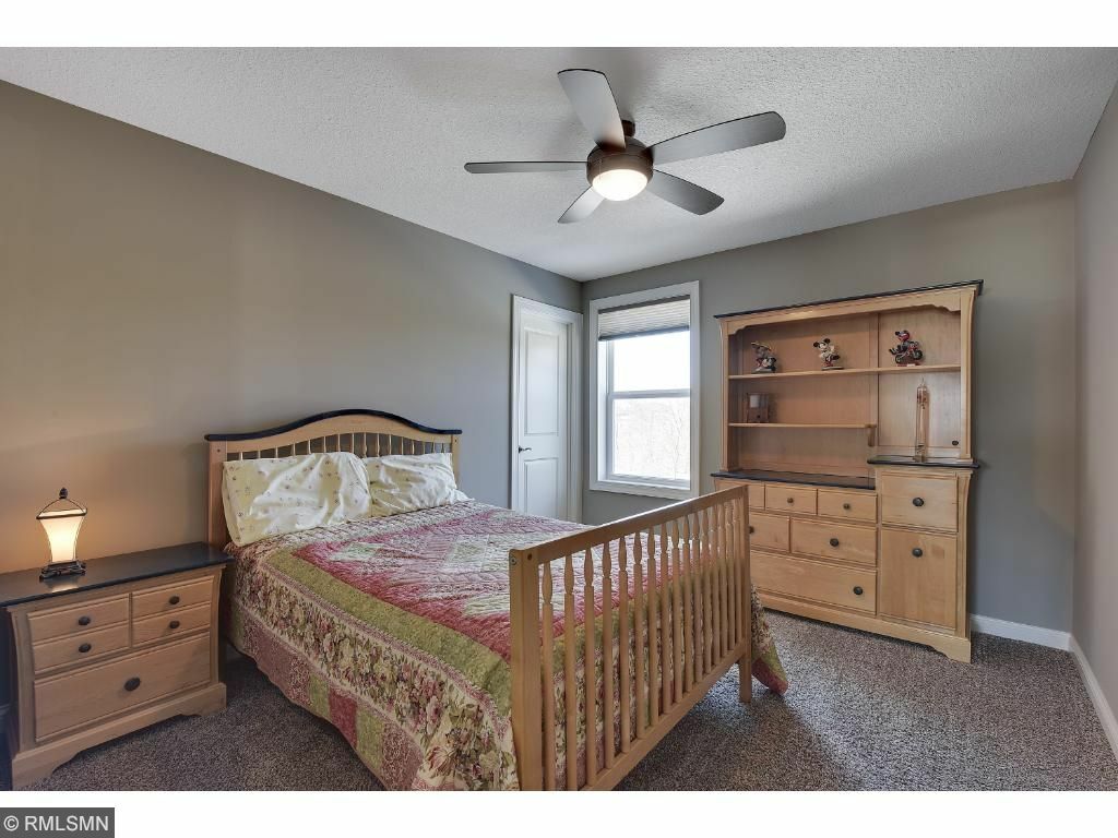 Property Photo:  9172 Wassermann Court  MN 55386 