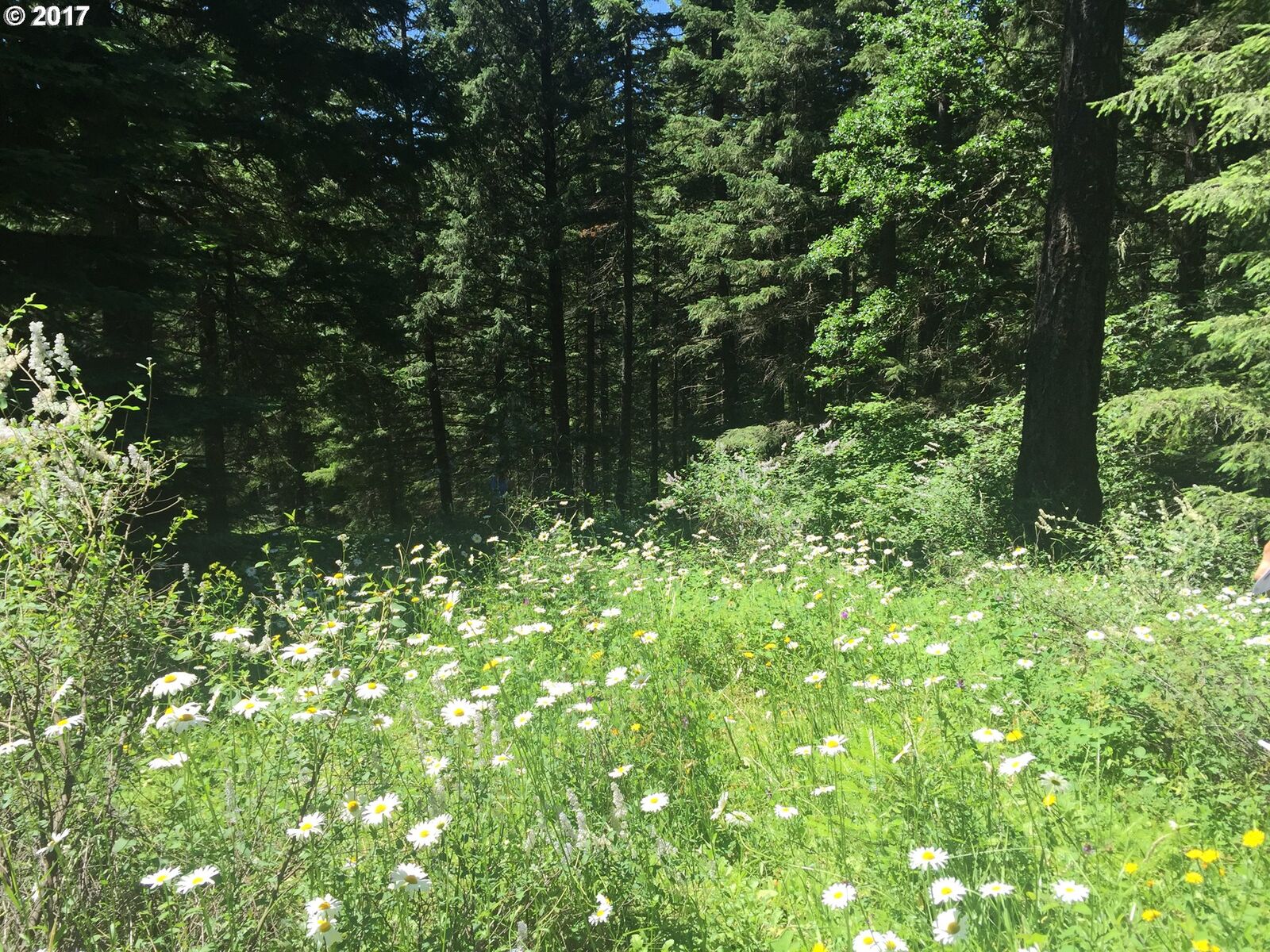 Property Photo:  61 Lakeview Rd  WA 98672 