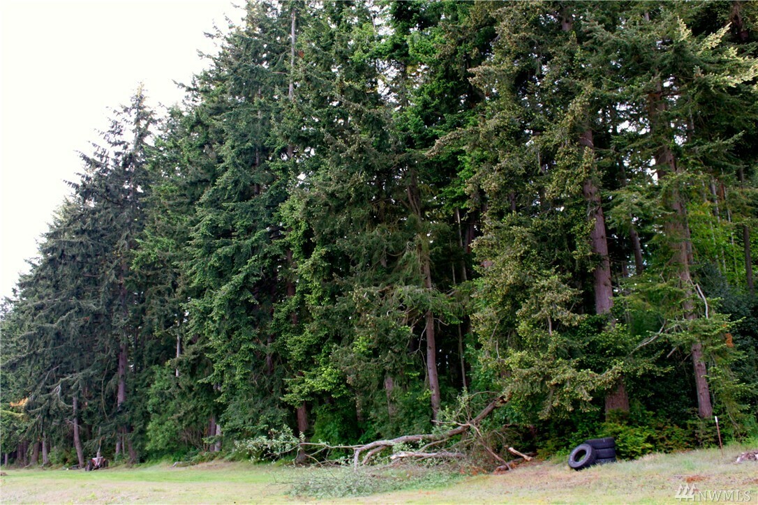 Property Photo:  Xxx Heggenes Rd  WA 98236 