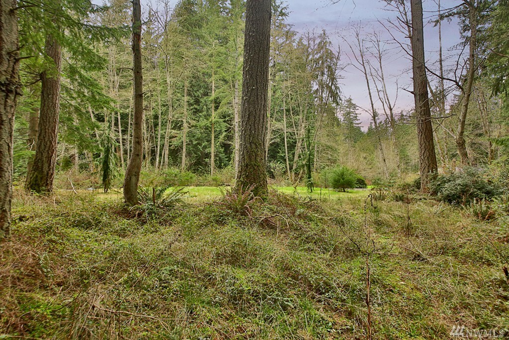 Property Photo:  6687 Cliffordsville Rd  WA 98236 