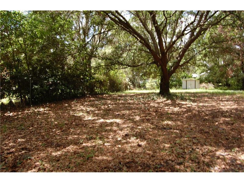 Property Photo:  8638 Gibson Oaks Drive  FL 33809 