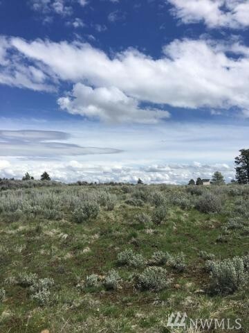 Property Photo:  100 Sagebrush Rd  WA 98802 