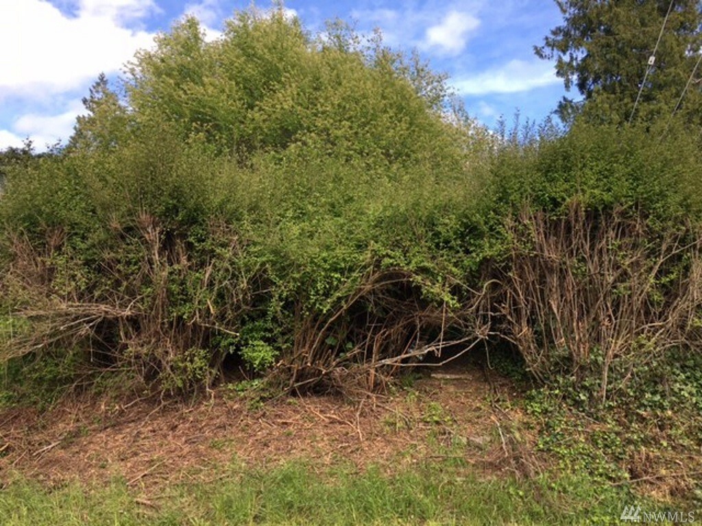 Property Photo: Lot 100 Fletcher Place WA 98239