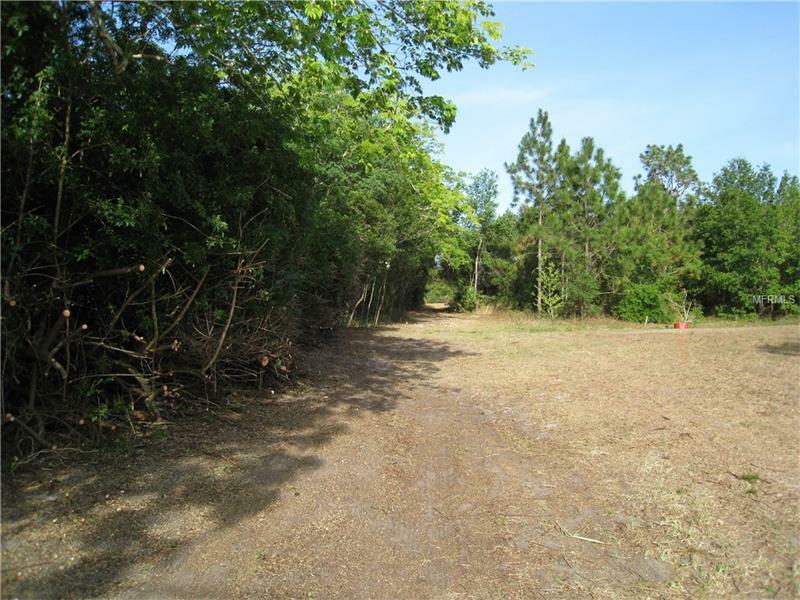 Property Photo:  3217 Lake Twylo Road  FL 32817 