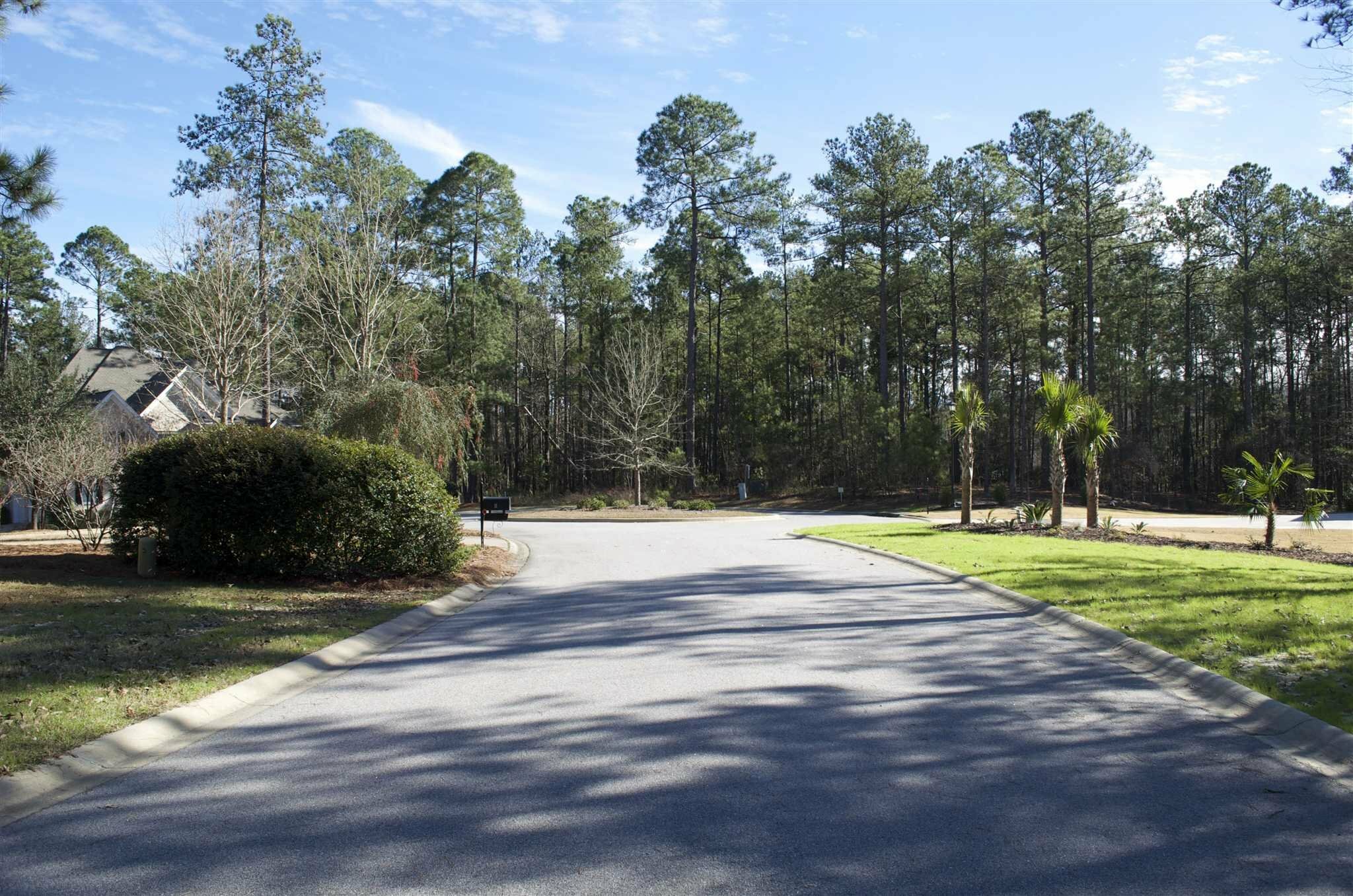 Property Photo:  14 Redbay  SC 29045 