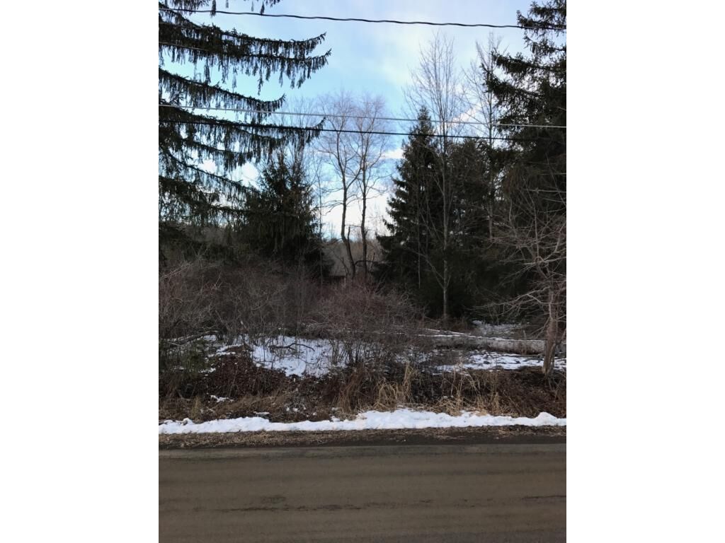 Property Photo: 221 Ostrum Road NY 13795