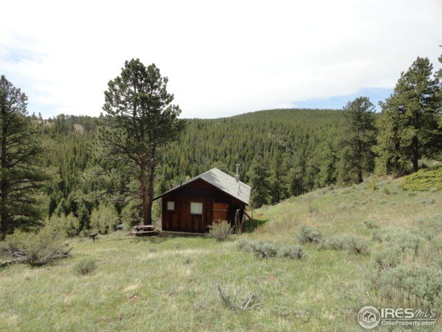 Property Photo: 198 Hard Way Rd CO 80481