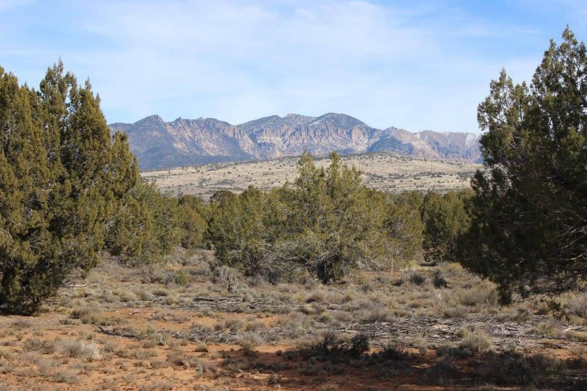Property Photo: 1409 N Homestead Dr. UT 84783