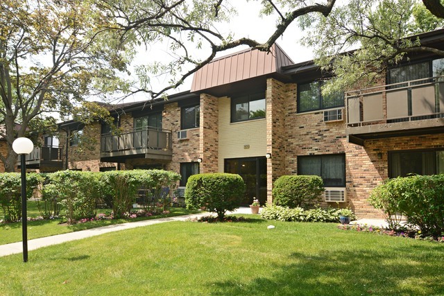 Property Photo:  2628 Windsor Drive 204  IL 60004 