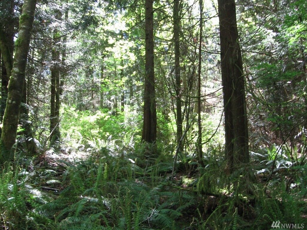 Property Photo:  Lot 003 Carlin Ct  WA 98346 