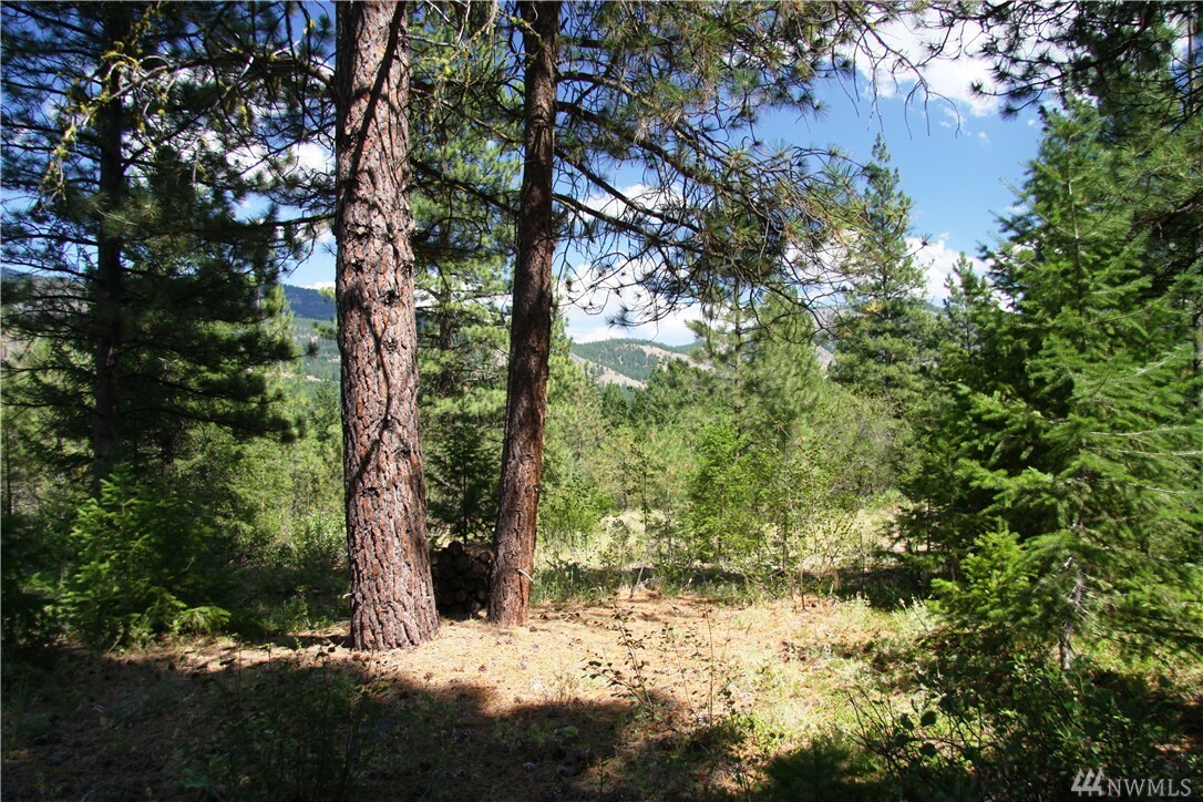 Property Photo:  23 Evergreen Wy  WA 98833 