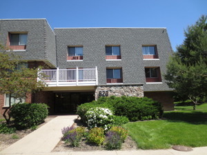 Property Photo: 920 Ridge Square 205 IL 60007