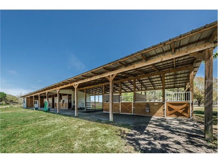 Property Photo: 19002 Brooker Creek Drive FL 33556