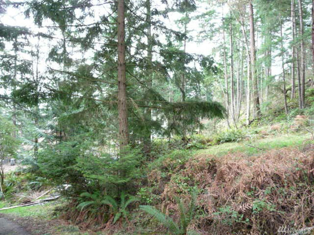 Property Photo:  2911 Rosewood Terr  WA 98262 