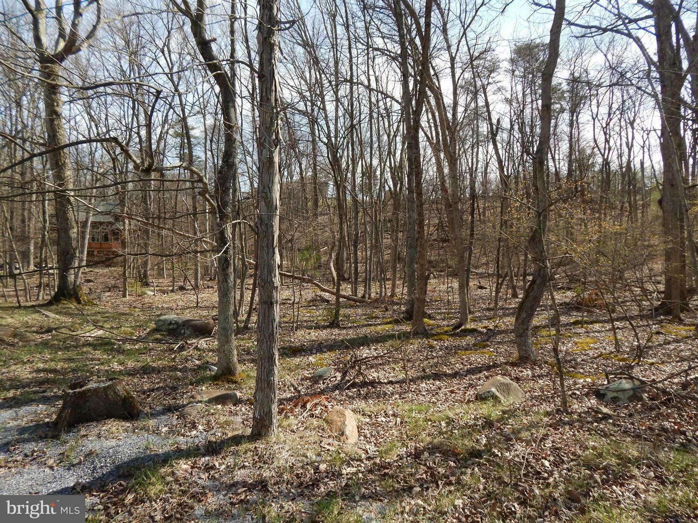 Property Photo:  52 Indian Run Lane  WV 25411 