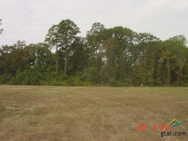 Property Photo:  7697 S State Hwy 155  TX 75683 