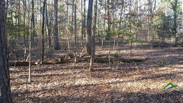 Property Photo: Tbd Cr 1596 TX 75630