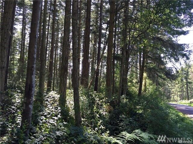 Property Photo:  1140 Pavey Blvd  WA 98261 