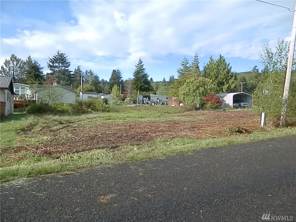 Property Photo: 0 E Maple St WA 98365