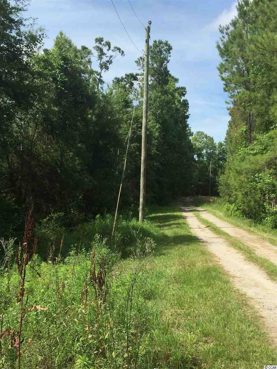 Property Photo: 1475 Old Todd Ferry Rd. SC 29568