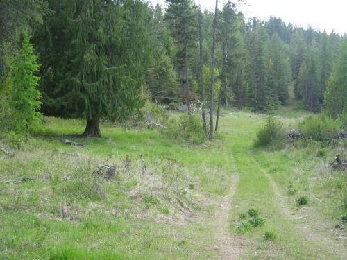 Property Photo: Lot 4 Daisy Mine Rd WA 99167
