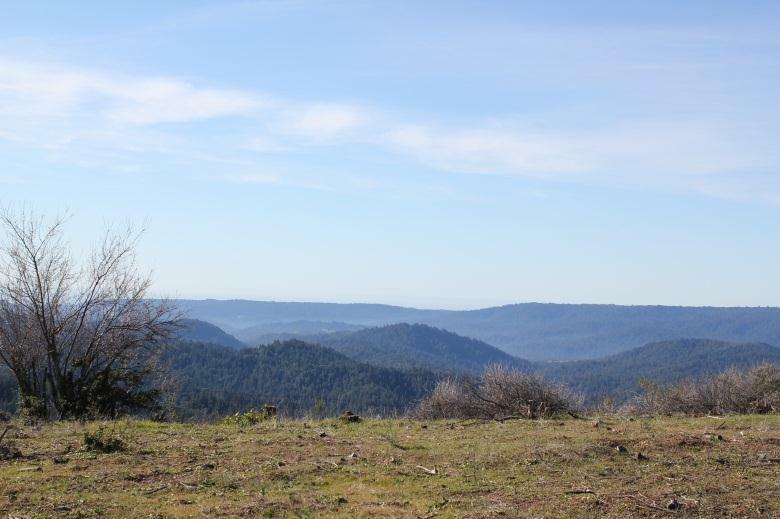 Property Photo:  20711 Bear Creek Road  CA 95033 