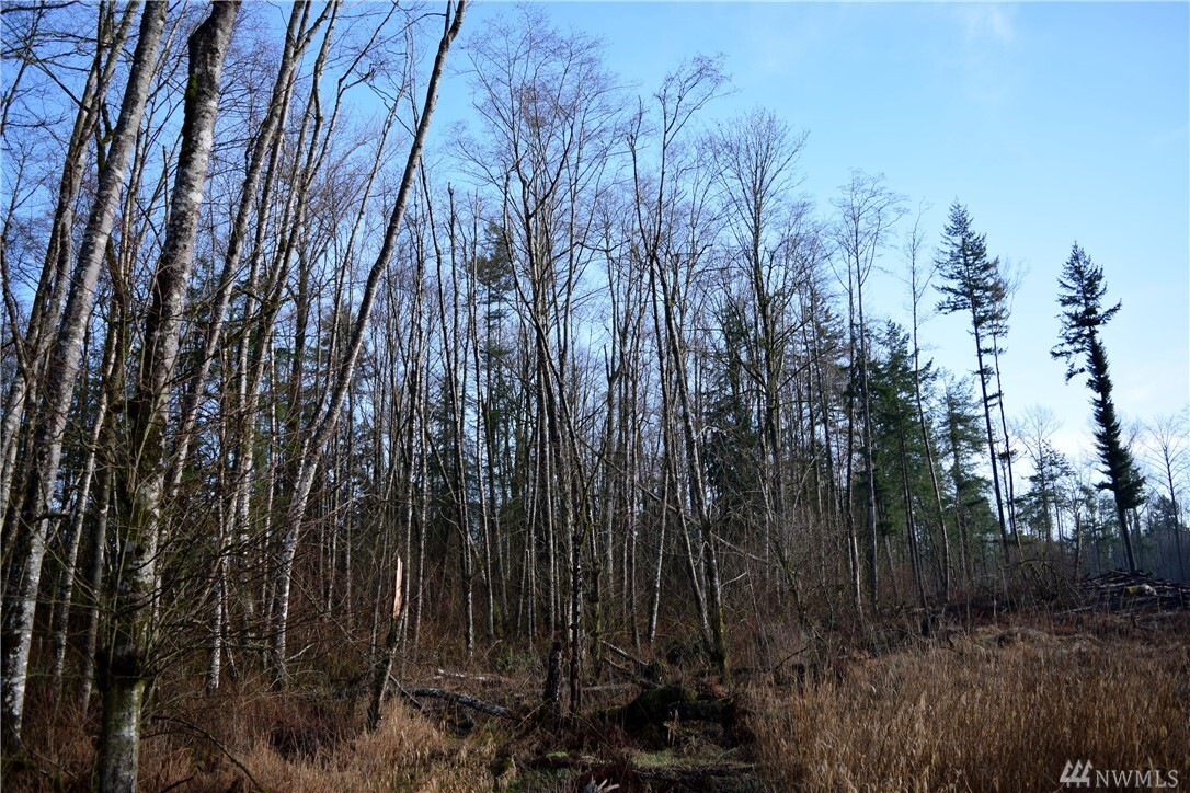 Property Photo: 0 H Street Rd WA 98230