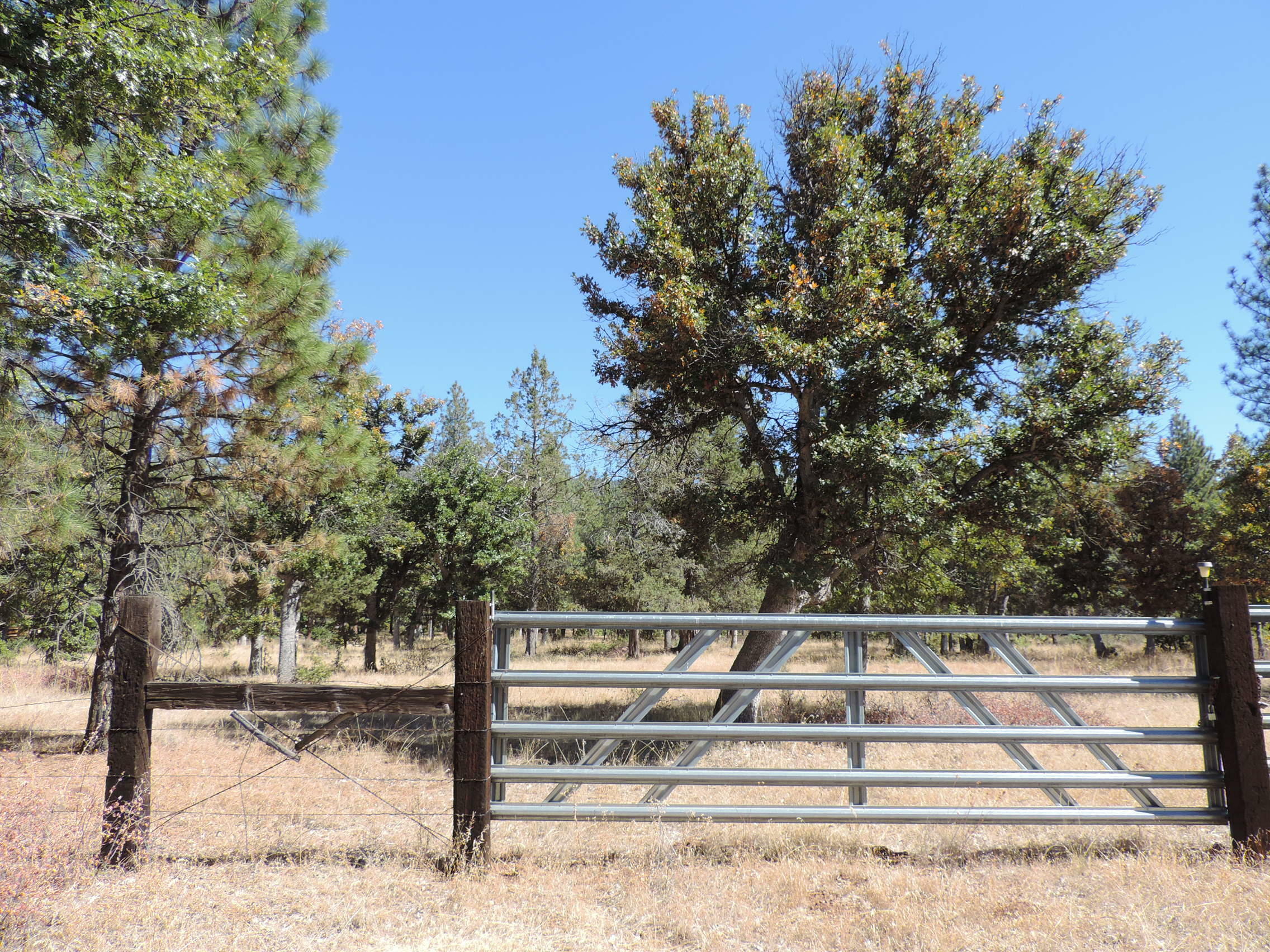 Property Photo:  Lot 1 Day Road  CA 96056 