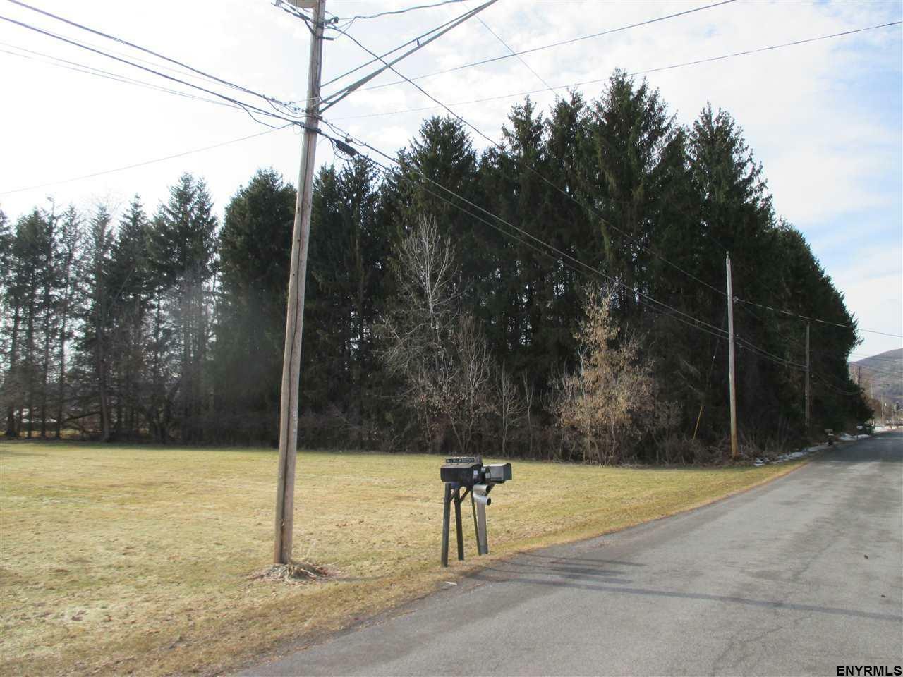 Lot #1 Squaw Trail  Middleburgh NY 12122 photo