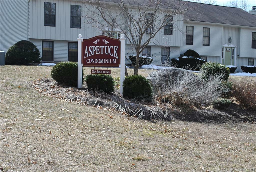 Property Photo:  59 Aspetuck Village 59  CT 06776 