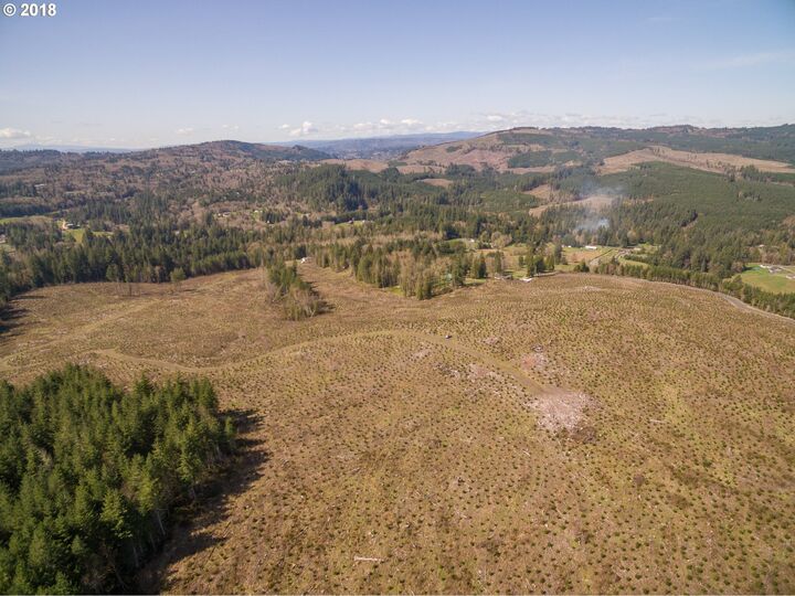 0 Young Rd  Rose Valley WA 98626 photo