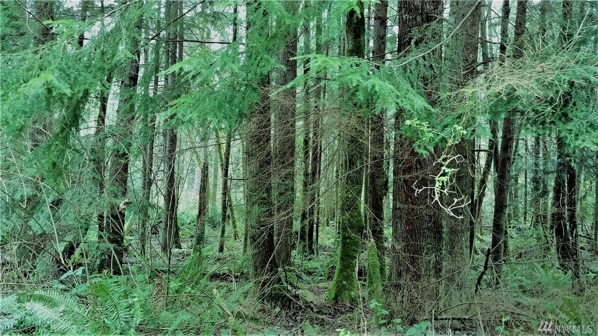 Property Photo: 0 SE Hoskins Hill Lane WA 98366