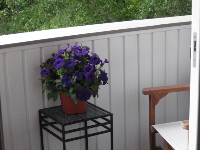 Property Photo: 106 Eastern Avenue 201 NH 03104-6639