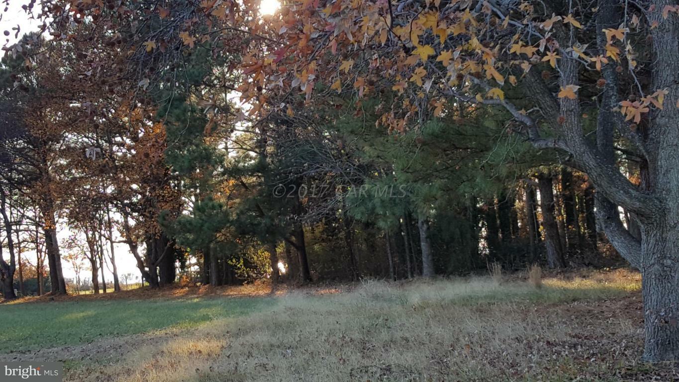 Property Photo:  Chesapeake Drive Lot #23  MD 21840 