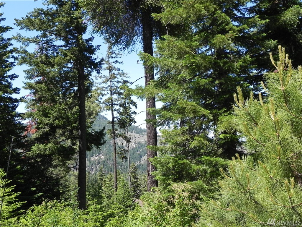 Property Photo: 6776 Forest Ridge Dr WA 98801