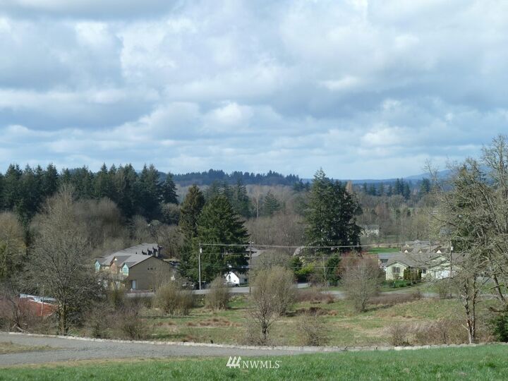Property Photo: 124 Hosanna Lane WA 98532