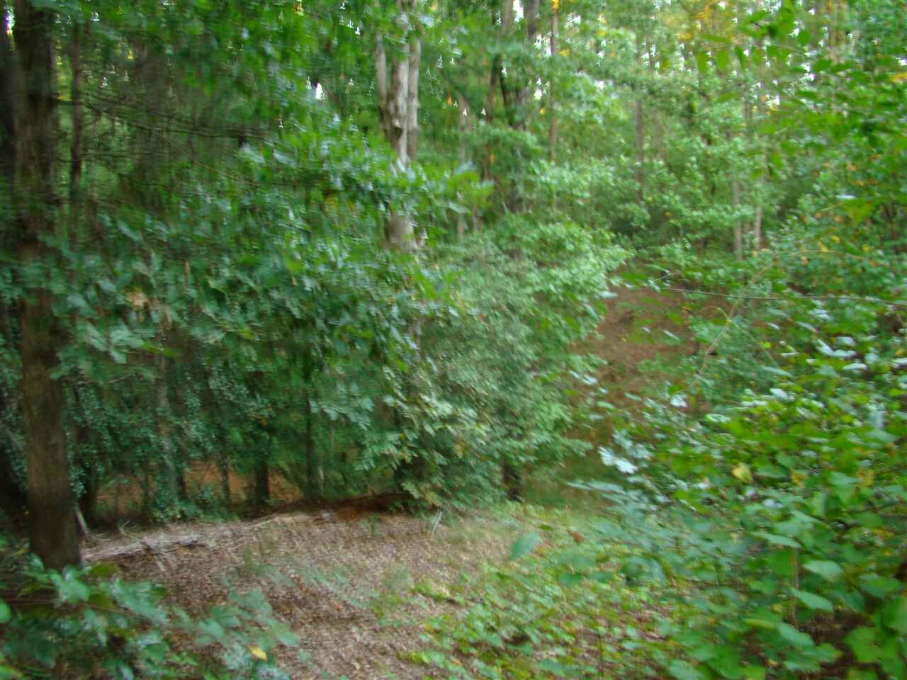 Property Photo:  110 Quitman Pt  SC 29323 