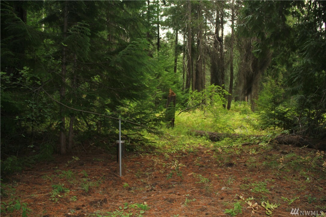 Property Photo:  548 Lost River Rd  WA 98833 