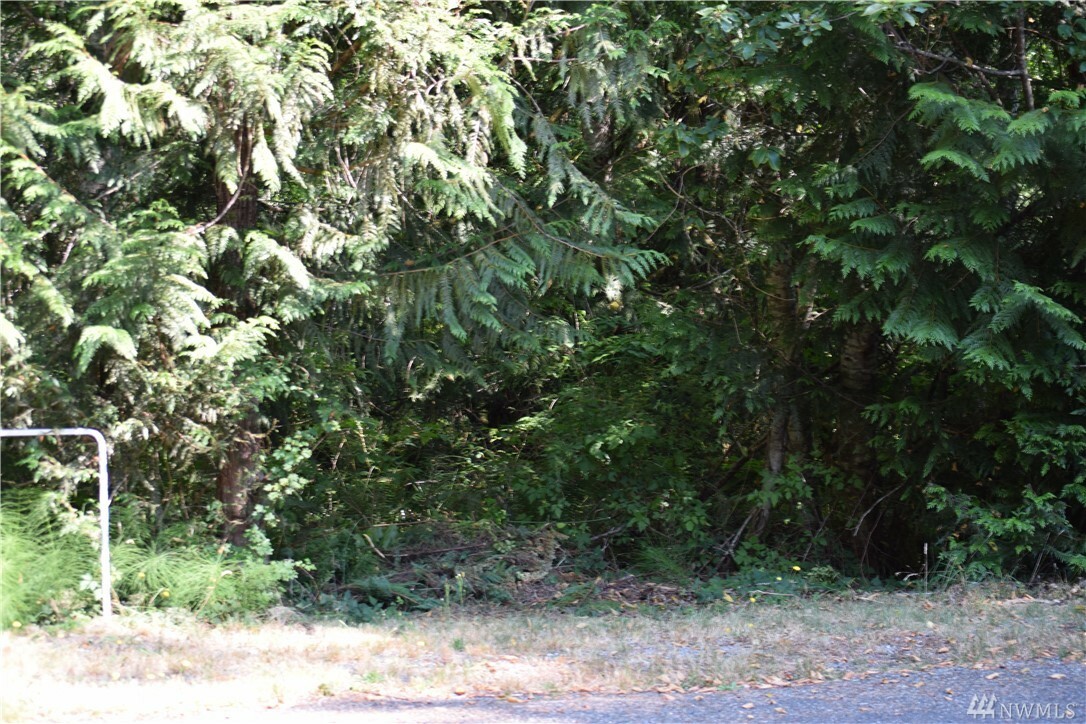 Property Photo:  260 E Willapa Rd  WA 98584 