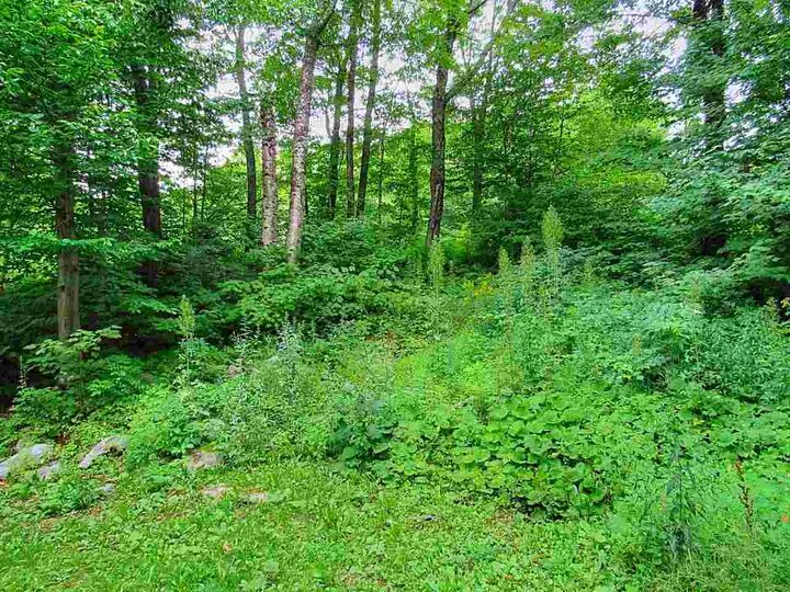 Property Photo:  333 Wentworth Road  VT 05676 