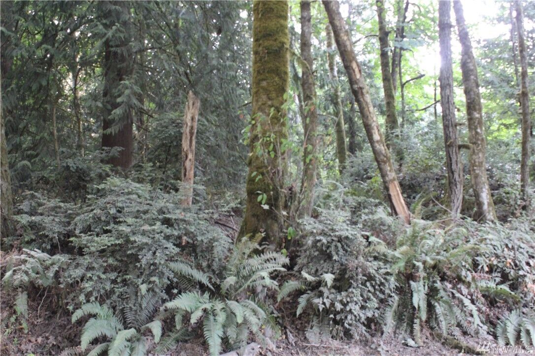 Property Photo: 0 Martin WA 98366