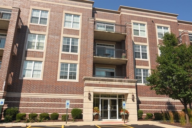 Property Photo:  50 Greeley Street 416  IL 60067 