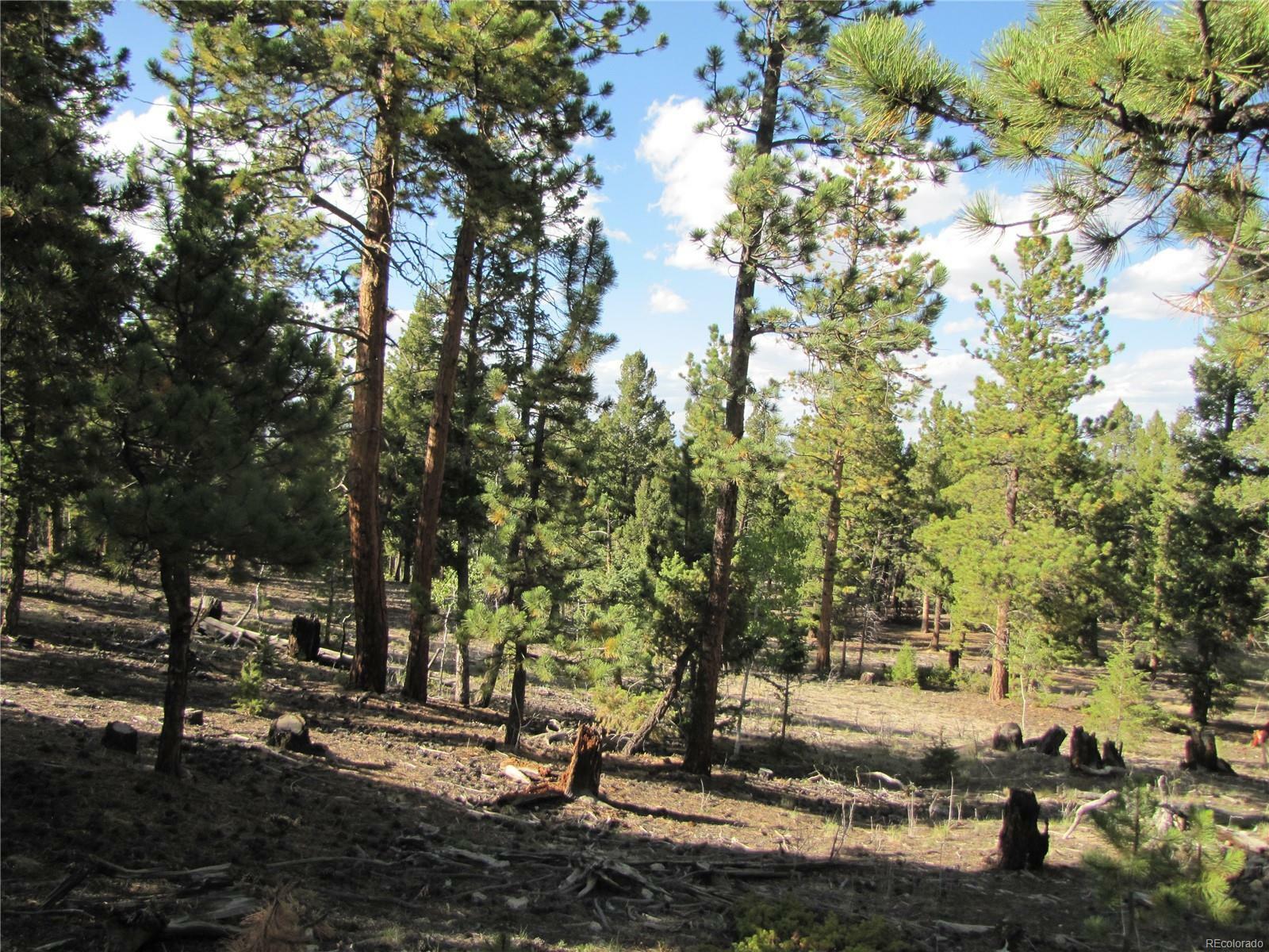 Property Photo:  1307 Bellows Road  CO 80449 