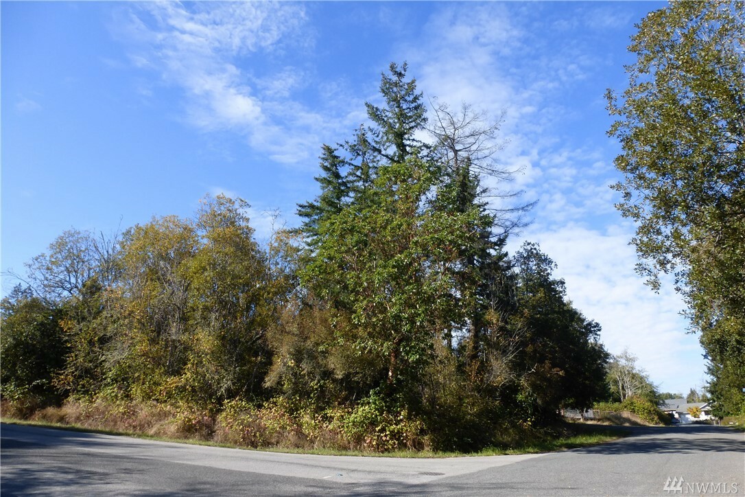Property Photo: Lot 39 Breezefair Rd WA 98249