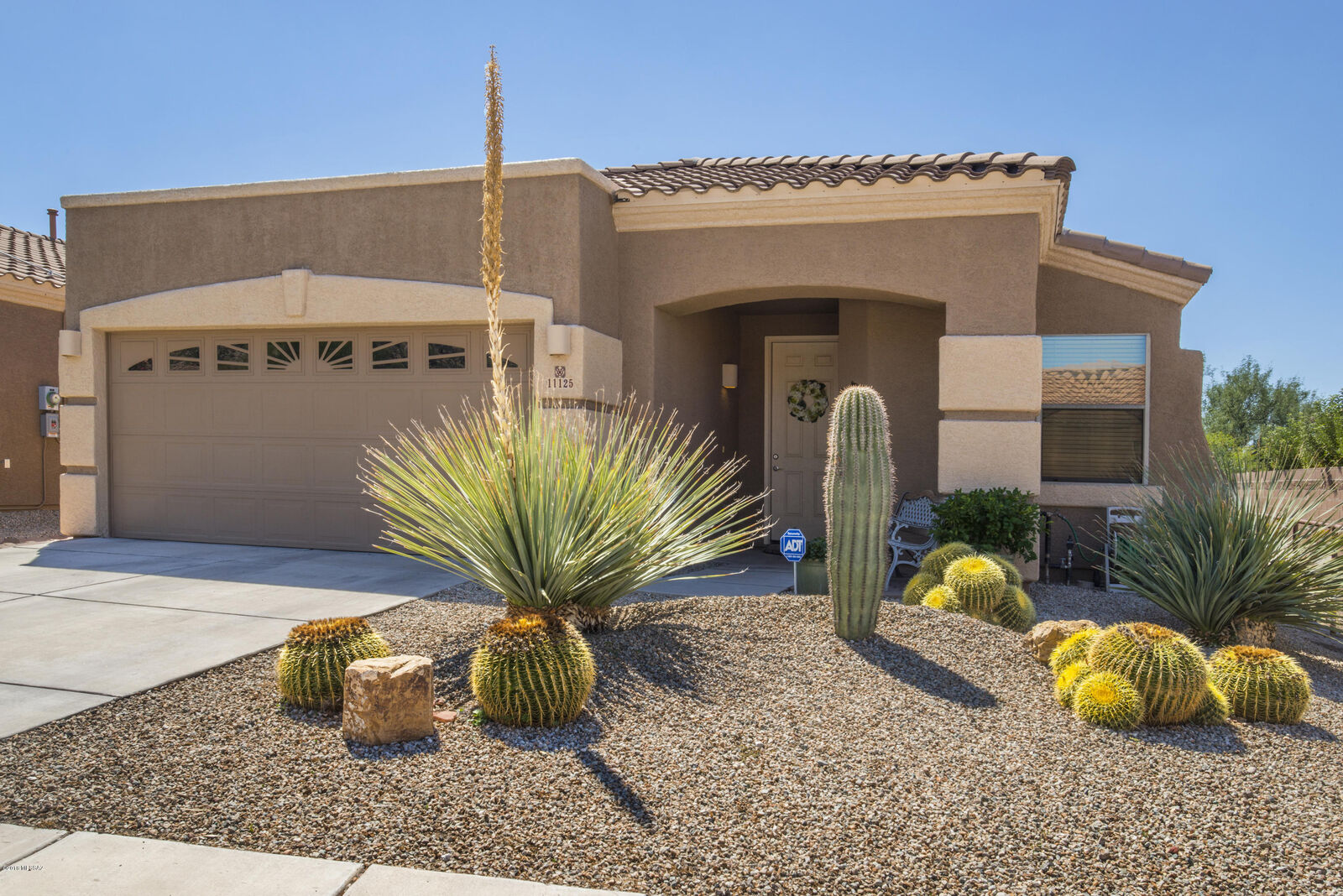 Property Photo:  11125 N Rams Horn Trail  AZ 85737 