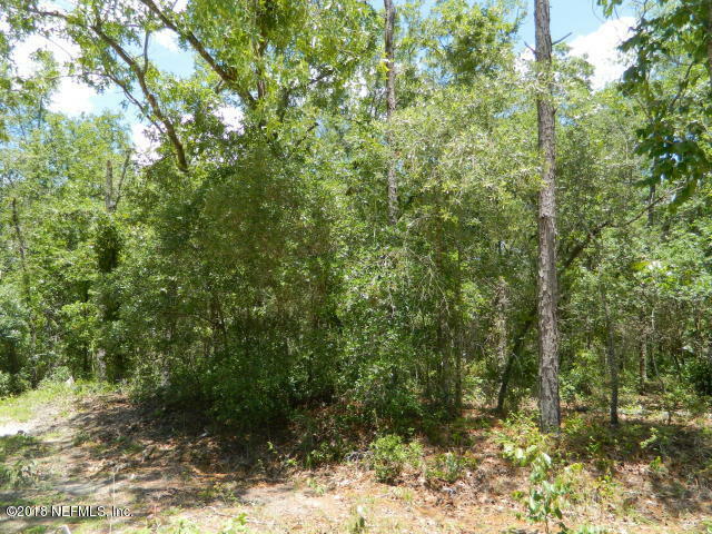 Property Photo:  128 E Satsuma Street  FL 32177 