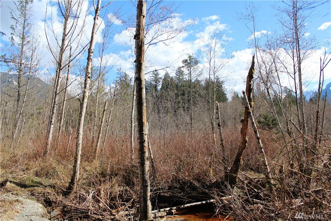 Property Photo:  163 Xx 419th Ave SE  WA 98251 